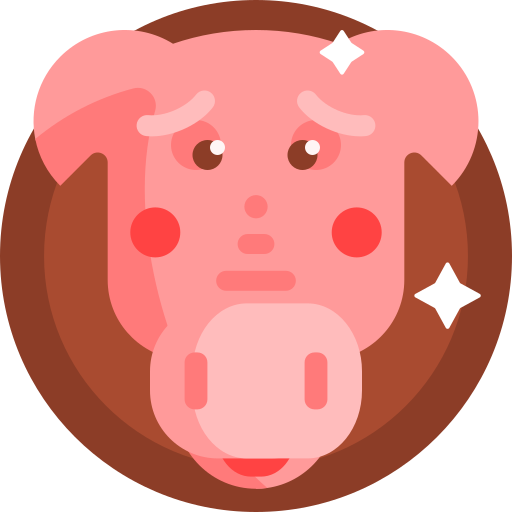 Year of the Pig Chinese Zodiac