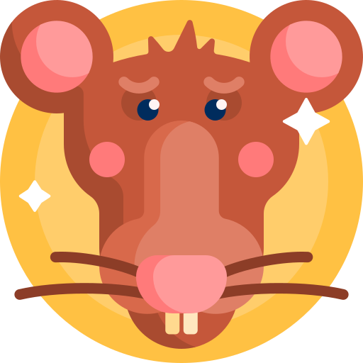 Year of the Rat Chinese Zodiac