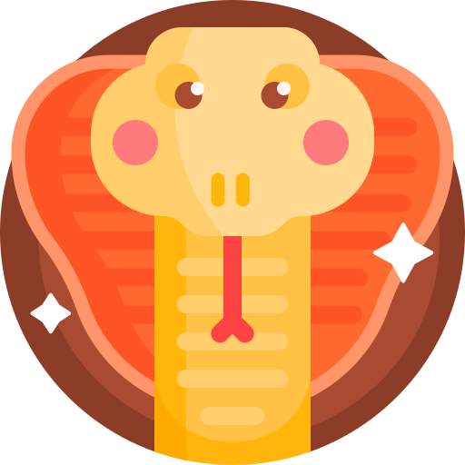 Year of the Snake Chinese Zodiac
